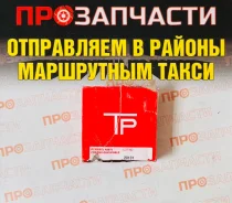 ������ ��������� QG15DE/GA15DE 95- (2 ������ �� �������) TP 34081-STD 34081-STD ����