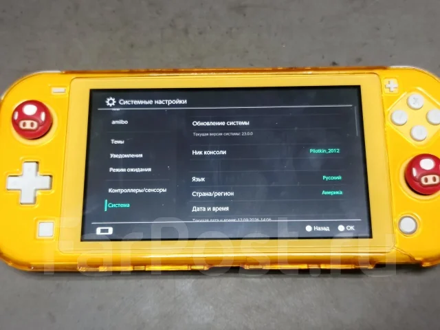 Nintendo Switch Lite ����