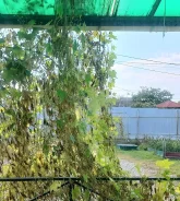 ������ ��������� ���-������� ����� ��� ����. �-� ������� �������, ��� 139��&sup2;, ������� 6����., ���, ����: �����������, �������, ������������� 15 �...
