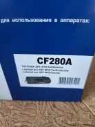 ��� ��������. ����