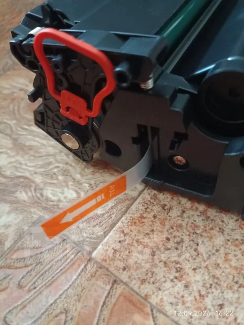 ��� ��������. ����