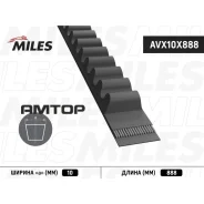 ������ �������� AVX10X888 Miles AVX10X888 AVX10X888 ����