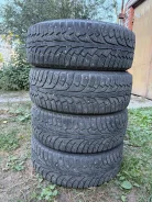 Nordman 5. ������, ����������, �/�, ����� 5 % ����