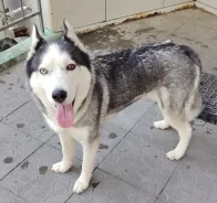 �����. ����