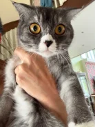 �����. ����
