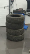 Nankang AR-1. ������, ����������, 2019 ���, �/�, ����� 20 % ����