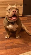 ������������ �����. ����