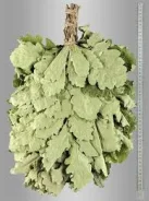 ����� ������ ��� 18294 ����
