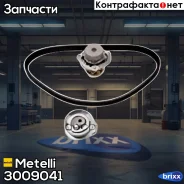 ����������� ��� � ������ Metelli ���. 30-0904-1 3009041 ����