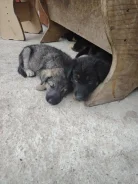 ������. ����