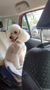 ���������� ������. ����