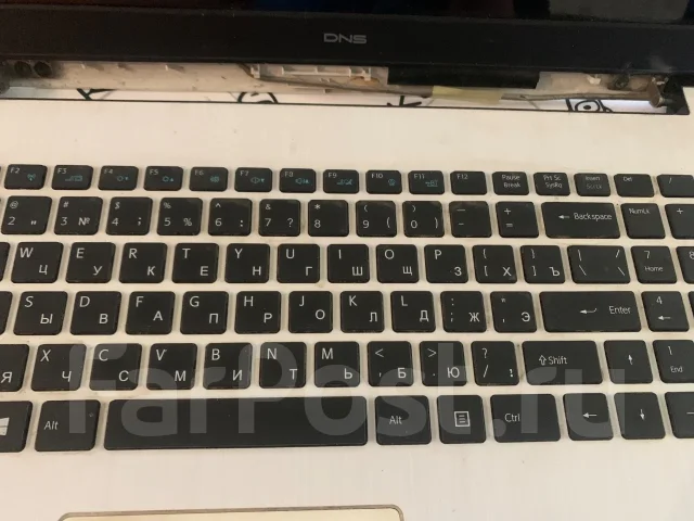 DNS ����