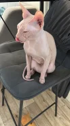 ������. ����