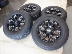 RAYS Team Daytona FDX F6
