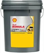 Shell Rimula