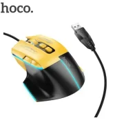 ���� �������. ����