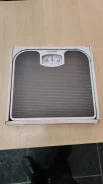 ���� ���������. ����