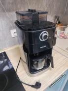 ���������. ����