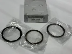 ������ ��������� Nissan 12033AX001 CR12DE 12033AX001 ����