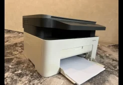 ��� ��������. ����
