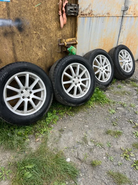Goform. ������, ��� �����, 2020 ���, �/�, ����� 5 % ����