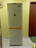 ������������ ������������. ����