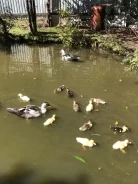 ��������. ����