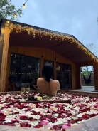 ��� � ���� � ����� ����