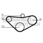 ������ ��� Honda Accord 2.0-2.2 16V Z=70*16 90 Contitech CT800 CT800 ����