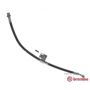 ����� ��������� T30066 T30066 ����