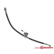 ����� ��������� T30066 T30066 ����