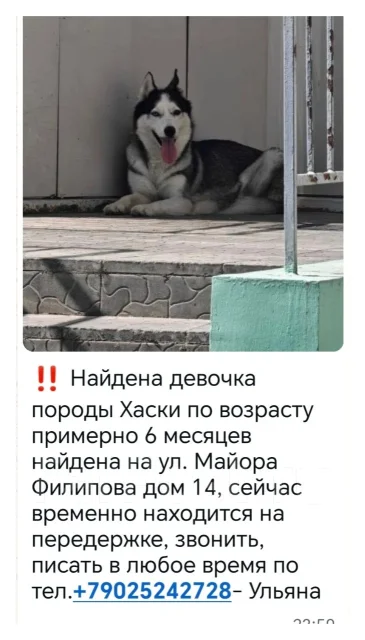 �����. ����