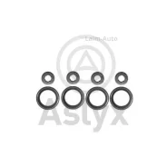 ����������� ���������� �������� FIAT-OPEL 1.3JTD (8 ����) AS506411 AS506411 ����