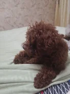 ���������� ������. ����