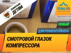 ������ ���������. ����