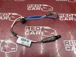������ ����������� Honda Shuttle GP8 ����
