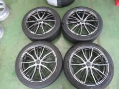 Bridgestone Reigner BW25s