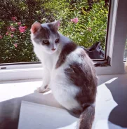 �����. ����