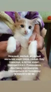 �����. ����