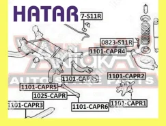����������� ������� ����������� ������ �������� ���������� ��� ������� ASVA 1101CAPR5 1101CAPR5 ����
