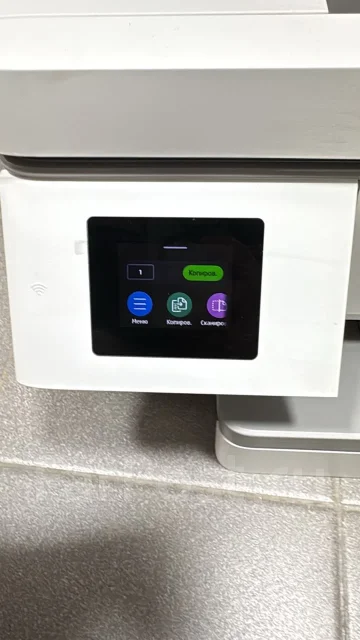 ��� ��������. ����