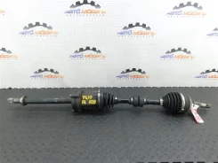 ������ Nissan Bluebird Sylphy 391006N215 TG10 QR20DD, �������� ������ 391006N215 ����