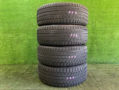 Zeetex. ������, ��� �����, 2023 ���, �/�, ����� 5 %. �������� ������� ����