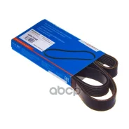 ������ ������������ Avantech Avantech ���. 6PK1244 6PK1244 6PK1244 ����