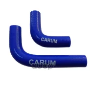 �������� ��������� ��� 2121 �������, ���������� 2 ��. Carum 2121-8102000 Carum ���. 21218102000 21218102000 ����