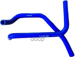 �������� ��������� ��� 3163 c 2017 �. �. ������� (2 ��) Carum 3162-8120017 Carum ���. 31628120017 31628120017 ����