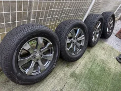 Kosei Grand Infest D5