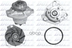 ����� �������� ���������� Dolz ���. A181 A181 Dolz A181 ����