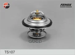 ��������� (+87�C) Fenox ���. TS107 TS107 Fenox TS107 ����