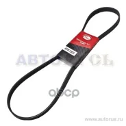 ������ ������������ Gates ���. 6PK1305 6PK1305 Gates XF 6PK1305 ����
